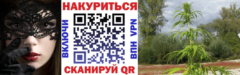 где продают   Лобня  Бошки марихуана ГИДРОПОН 